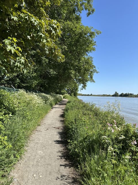Walk, jog or cycle along the edge of the Fraser River, just 10 min away by foot