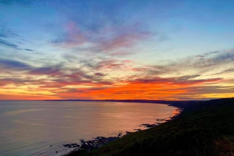 Immediate Surroundings [summer] (&lt;1 km)