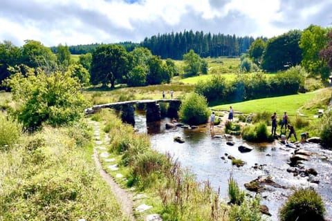 Region [summer] (&gt;5 km)