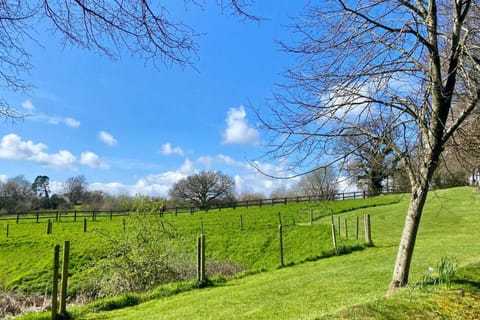 Region [summer] (&gt;5 km)