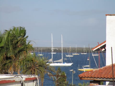 Junior Suite, 1 Queen Bed, Partial Ocean View | Balcony