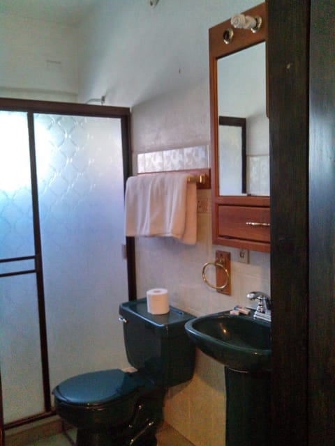 Deluxe Suite, 1 Queen Bed | Bathroom | Shower, rainfall showerhead, free toiletries, soap