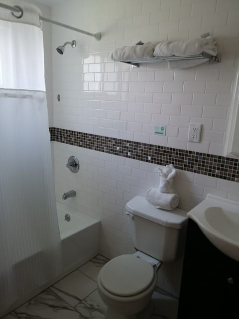 Standard Room (2 Full Beds, No Pets) | Bathroom amenities | Combined shower/tub, free toiletries, towels
