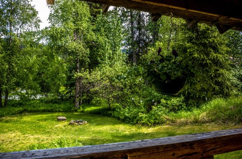 Cabin, Mountain View, Mountainside (#5 Sockeye) | View from property