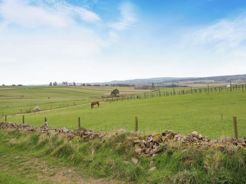 Surrounding area | Hogholm Farmhouse, Inverurie