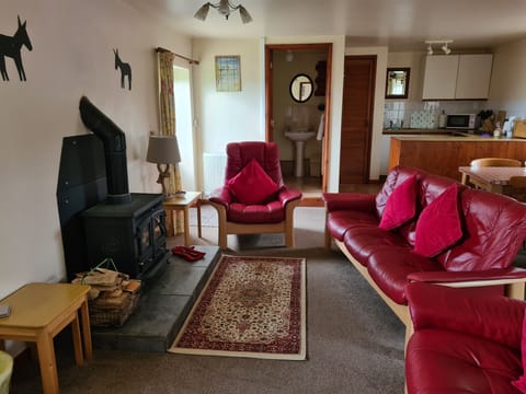 TV, fireplace, DVD player, books