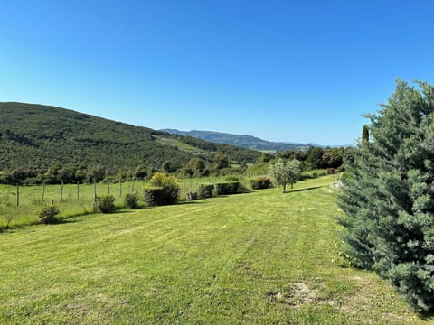 Views from the land surrounding this beautiful tuscan property
