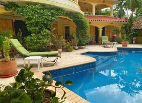 Pool & Lounge Chairs
Sparkling pool with sun loungers surrounded by lush tropical greenery.