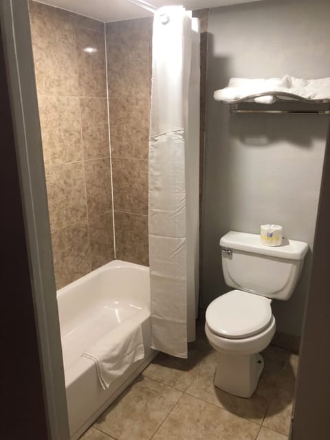 Combined shower/tub, free toiletries, hair dryer, towels