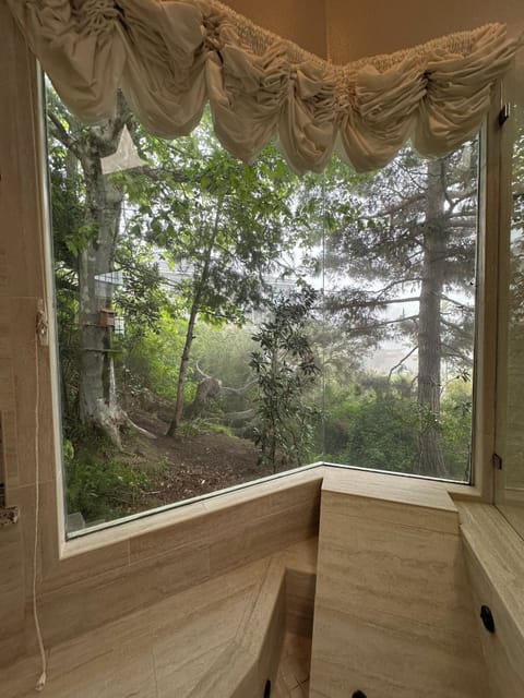 Primary bathroom jacuzzi & shower