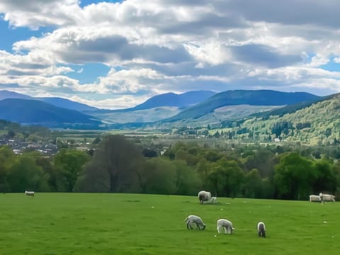 Surrounding area | Tay Lodge, Aberfeldy