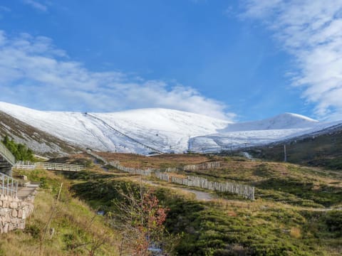 Surrounding area | Rowlands, Aviemore