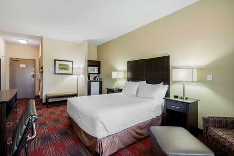 Standard Room, 1 Queen Bed, Accessible, Non Smoking | Premium bedding, down comforters, pillowtop beds, in-room safe