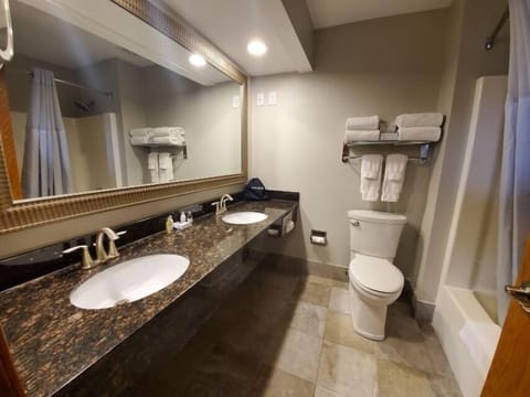 Luxury Suite, 1 King Bed, Non Smoking, Hot Tub | Bathroom | Combined shower/tub, free toiletries, hair dryer, towels