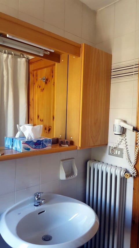 Bathroom | Shower, free toiletries, hair dryer, bidet