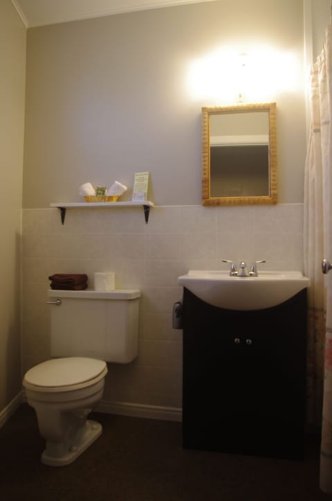 Standard Room, 2 Double Beds | Bathroom | Free toiletries, hair dryer, towels
