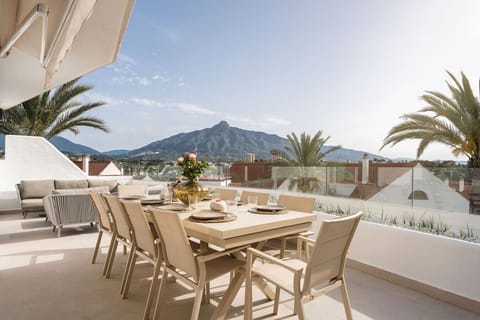 Large terrace with breath taking views of la Concha mountain and the sea