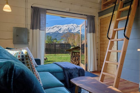 This is your view from the couch at the Mc Cully Cabin.