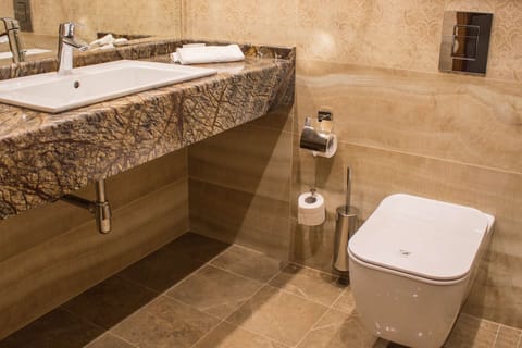 Shower, hydromassage showerhead, eco-friendly toiletries, hair dryer