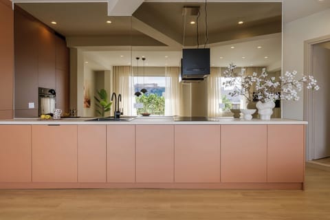 One of the two kitchen’s, mirroring Acropolis in the backround