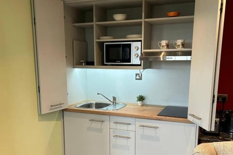 Fridge, microwave, stovetop, electric kettle