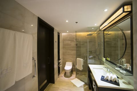 Deluxe Room | Bathroom | Separate tub and shower, rainfall showerhead, free toiletries