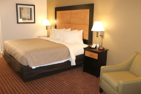 Room, 1 King Bed, City View | Premium bedding, in-room safe, desk, soundproofing