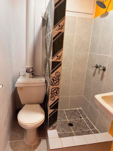 Shower, towels, soap, toilet paper