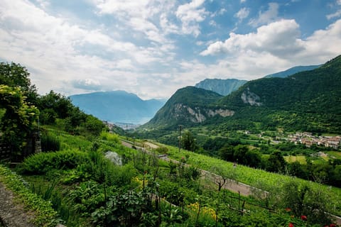 The view on Lake Garda