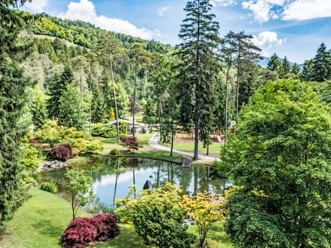 Tree, Nature, Vegetation, Natural Landscape, Landscape, Shrub, Garden, Botanical Garden, Larch, Forest