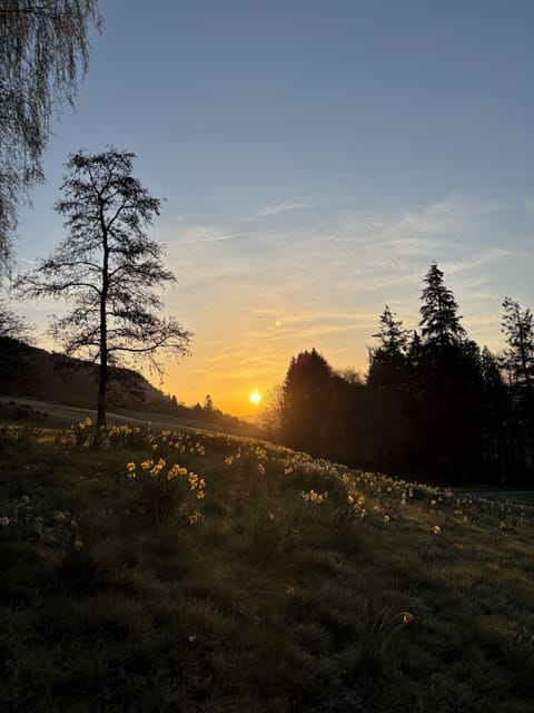 Spring sunrise from the Patio