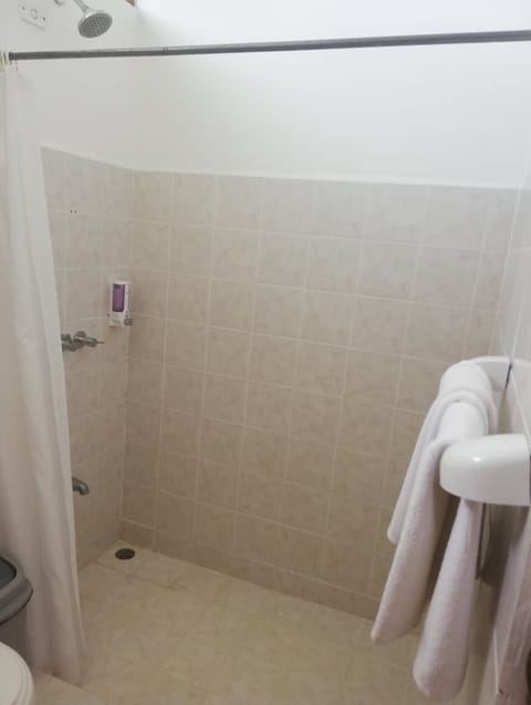 Standard Double or Twin Room, Garden View | Bathroom shower