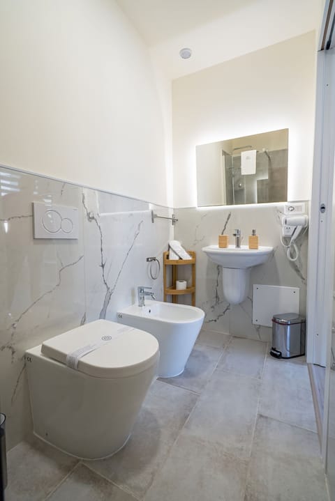 Shower, eco-friendly toiletries, hair dryer, towels