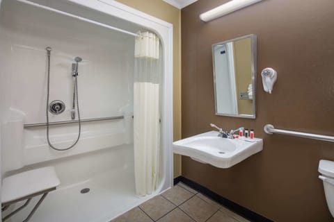 Standard Room, 1 Queen Bed, Accessible | Bathroom shower