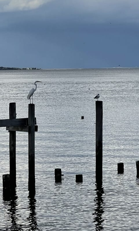 Galveston Bay