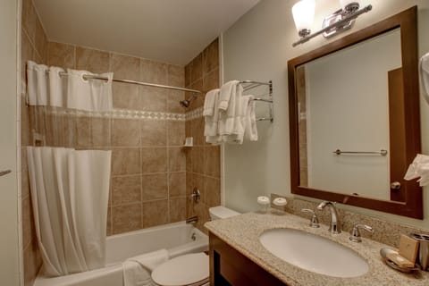 Combined shower/tub, free toiletries, hair dryer, towels