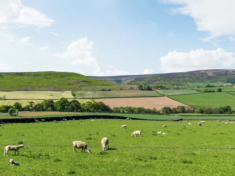 Exterior | Barn Owl Hut - Hollins Farm Shepherd Huts, Westerdale, near Whitby