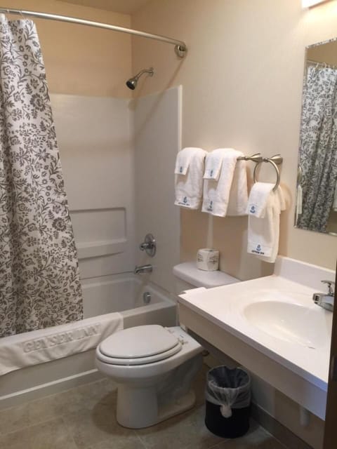 Combined shower/tub, free toiletries, hair dryer, towels