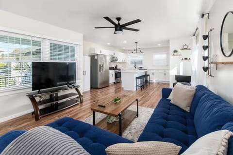 Bright, modern open-plan living space with stylish kitchen & blue sectional