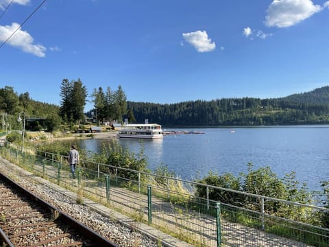 Sky, Plant, Building, Window, Tree, Swimming Pool, House, Residential Area, Leisure, Urban Design