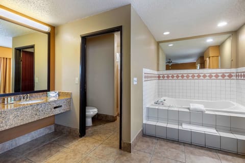 Business Suite, 1 King Bed with Sofa bed, Non Smoking, Jacuzzi | Bathroom | Combined shower/tub, hair dryer, towels