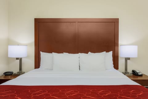 Room, Multiple Beds, Non Smoking | Hypo-allergenic bedding, down comforters, in-room safe, desk