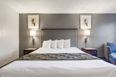 Room, 1 King Bed, Non Smoking | Desk, laptop workspace, blackout drapes, iron/ironing board