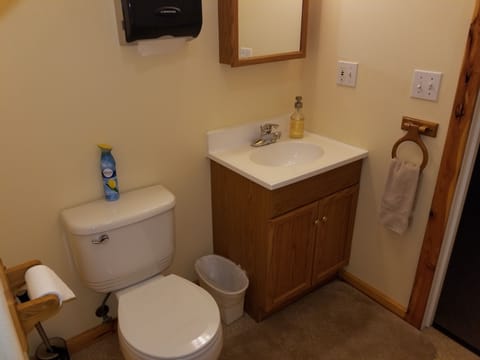 Standard Room, 1 Double Bed, Private Bathroom | Bathroom | Shower, hair dryer, towels, soap