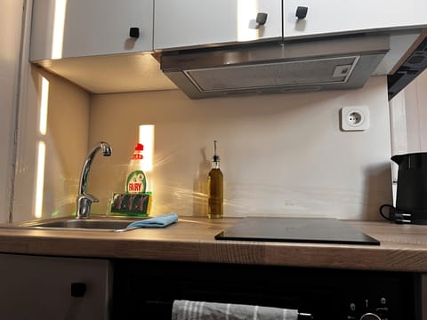 Comfort Apartment, 1 Queen Bed with Sofa bed, Air conditioning, City View | Private kitchen | Electric kettle, toaster, spices, eco-friendly cleaning products