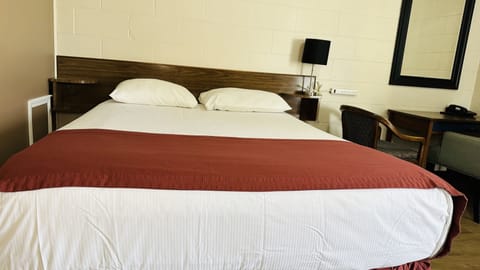 Room, 1 Queen Bed, Non Smoking | Desk, iron/ironing board, free WiFi, bed sheets