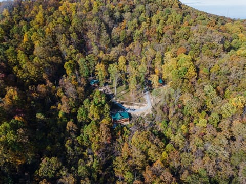 Four fully private cabins surrounded by a vast shared garden, all with the most breathtaking views—space for everyone, comfort for all