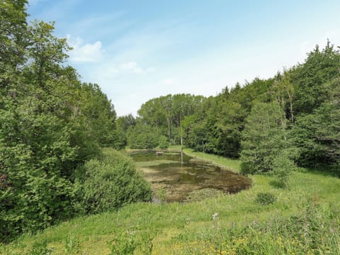 Surrounding area | Sumner Lodge, Kyre, near Tenbury Wells