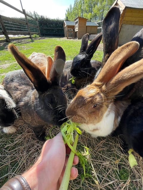 Children's activities