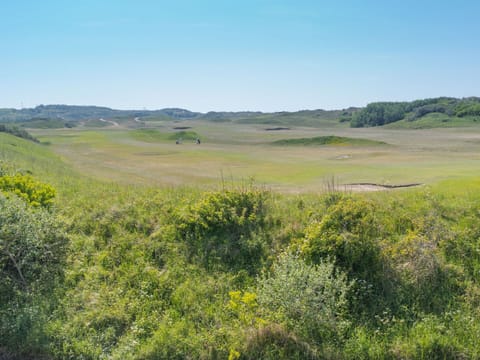 Sky, Plant, Plant Community, Natural Landscape, Land Lot, Agriculture, Grass, Plain, Grassland, Tree